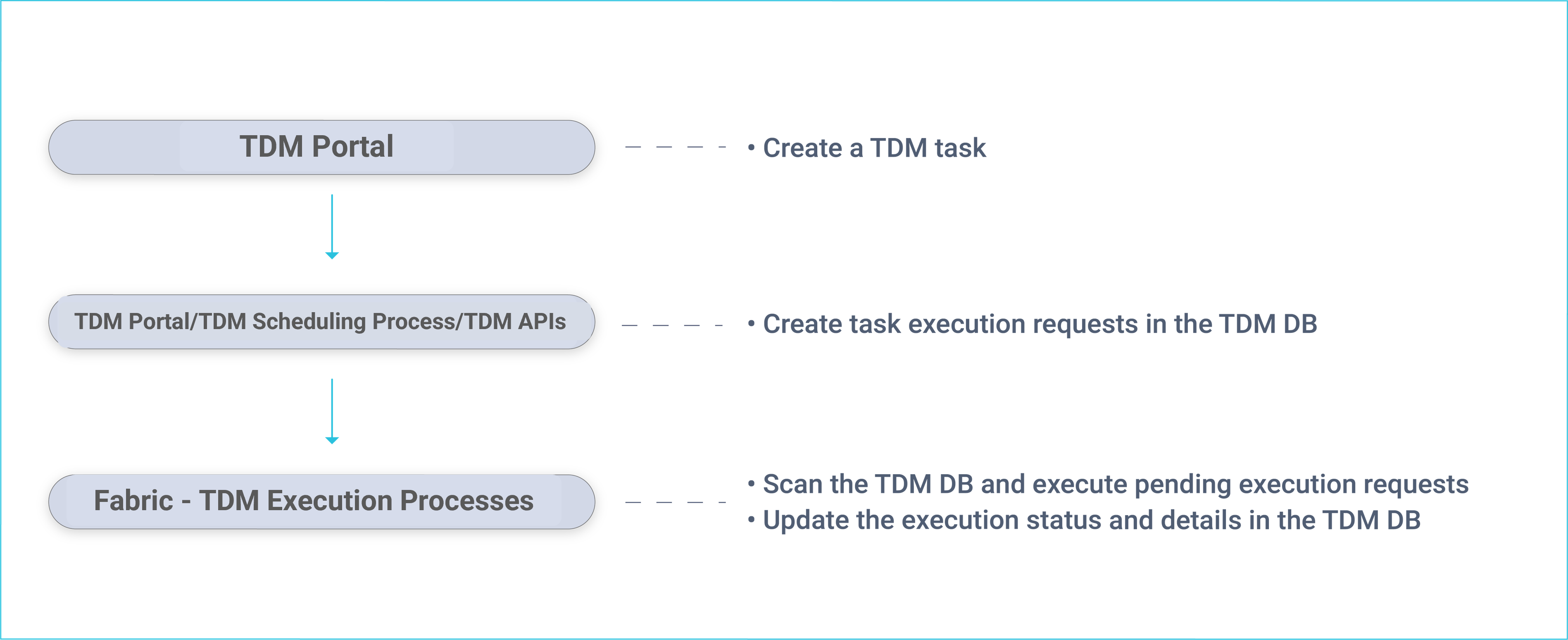 tdm execution