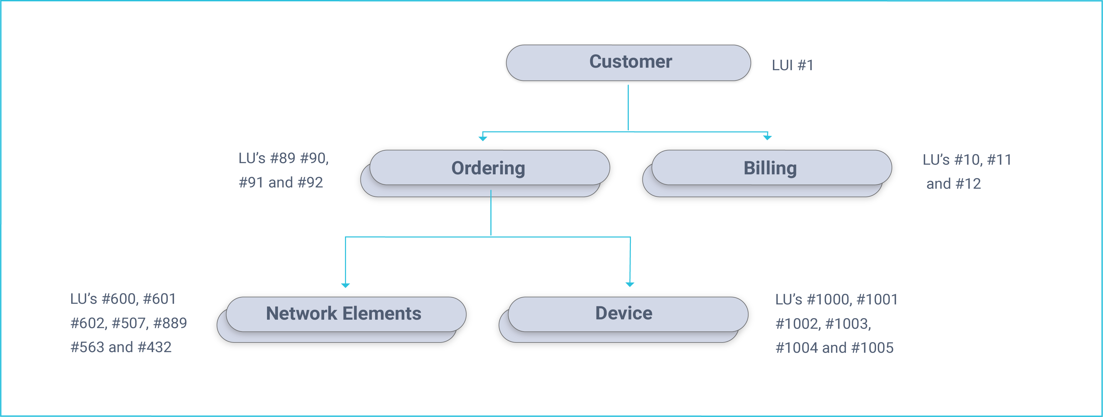 Customer example