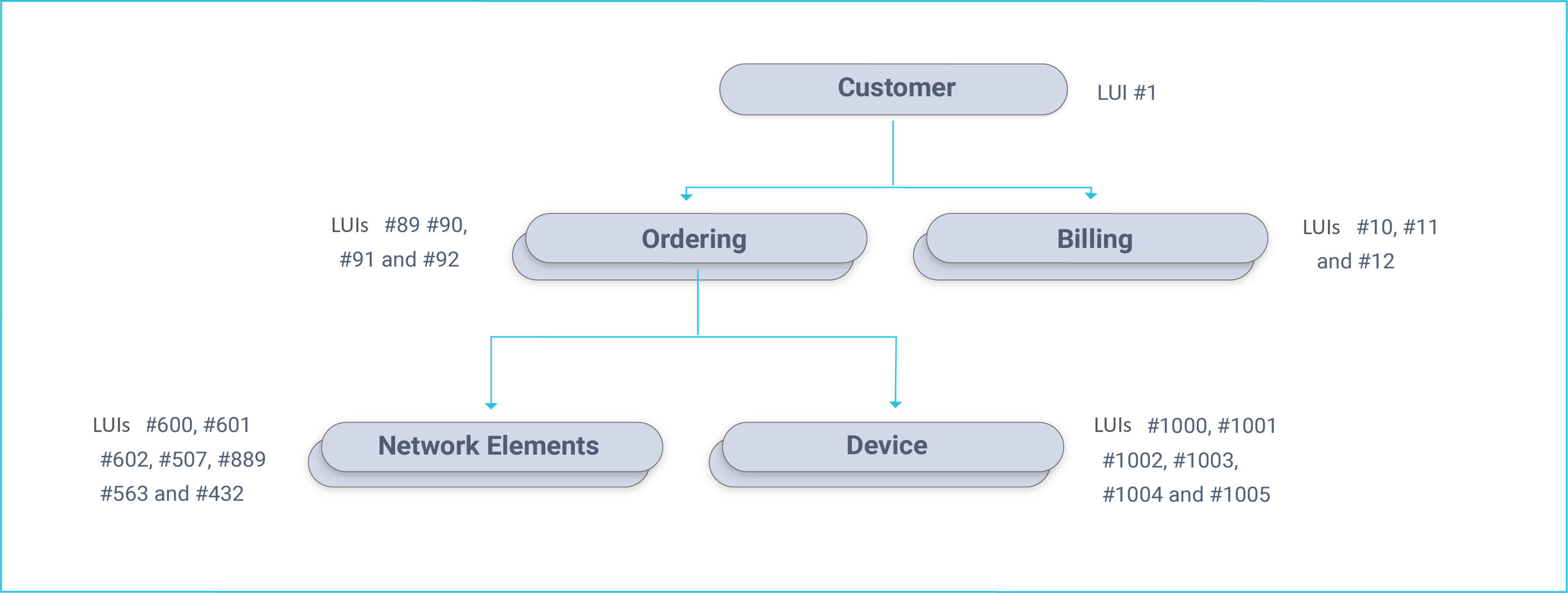 Customer example